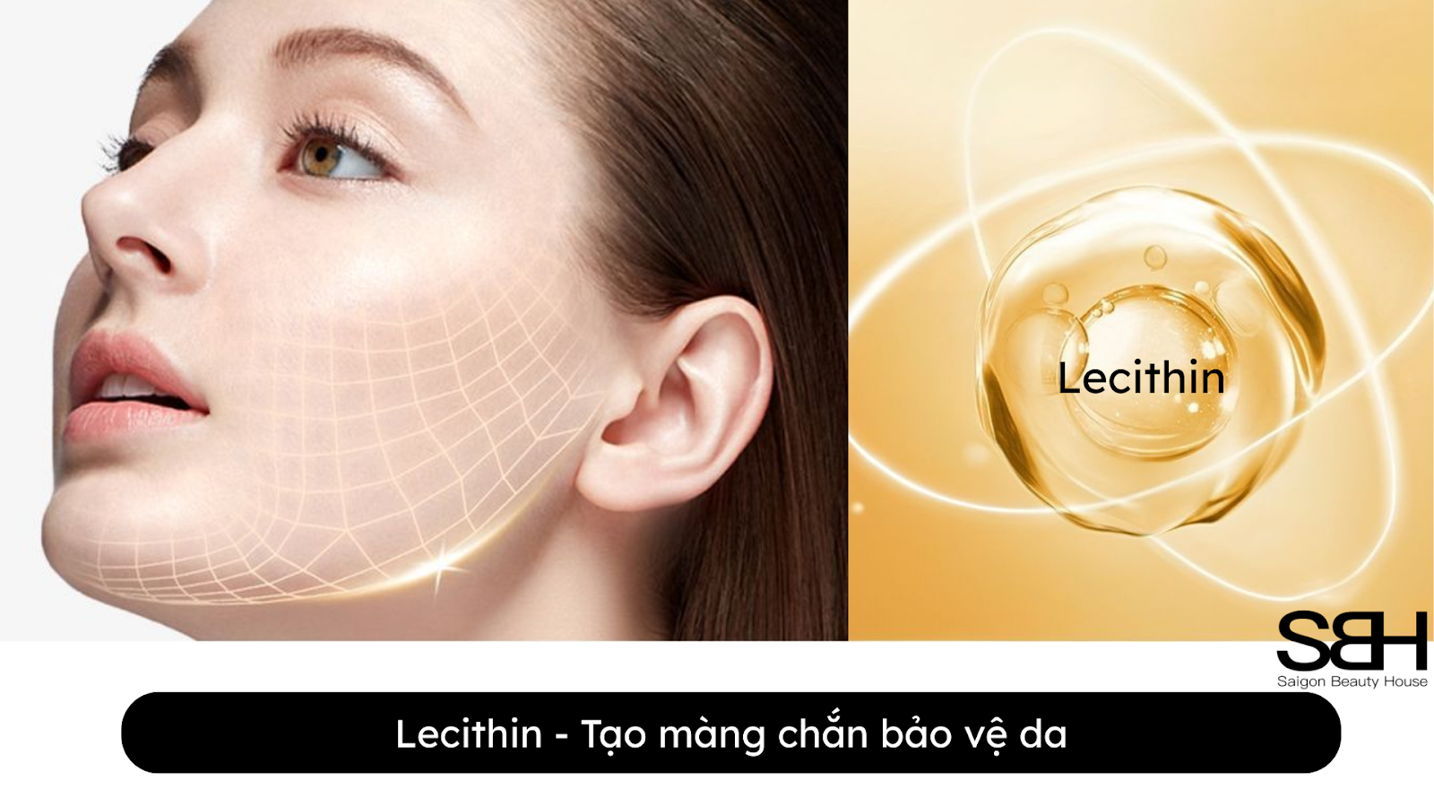 NHỮNG THÀNH PHẦN PHỤC HỒI DA TỔN THƯƠNG HIỆU QUẢ