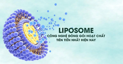 Công Nghệ Liposome, Nano và Xung Điện: Cuộc Cách Mạng Trong Cơ Chế Thẩm Thấu Hoạt Chất Mỹ Phẩm